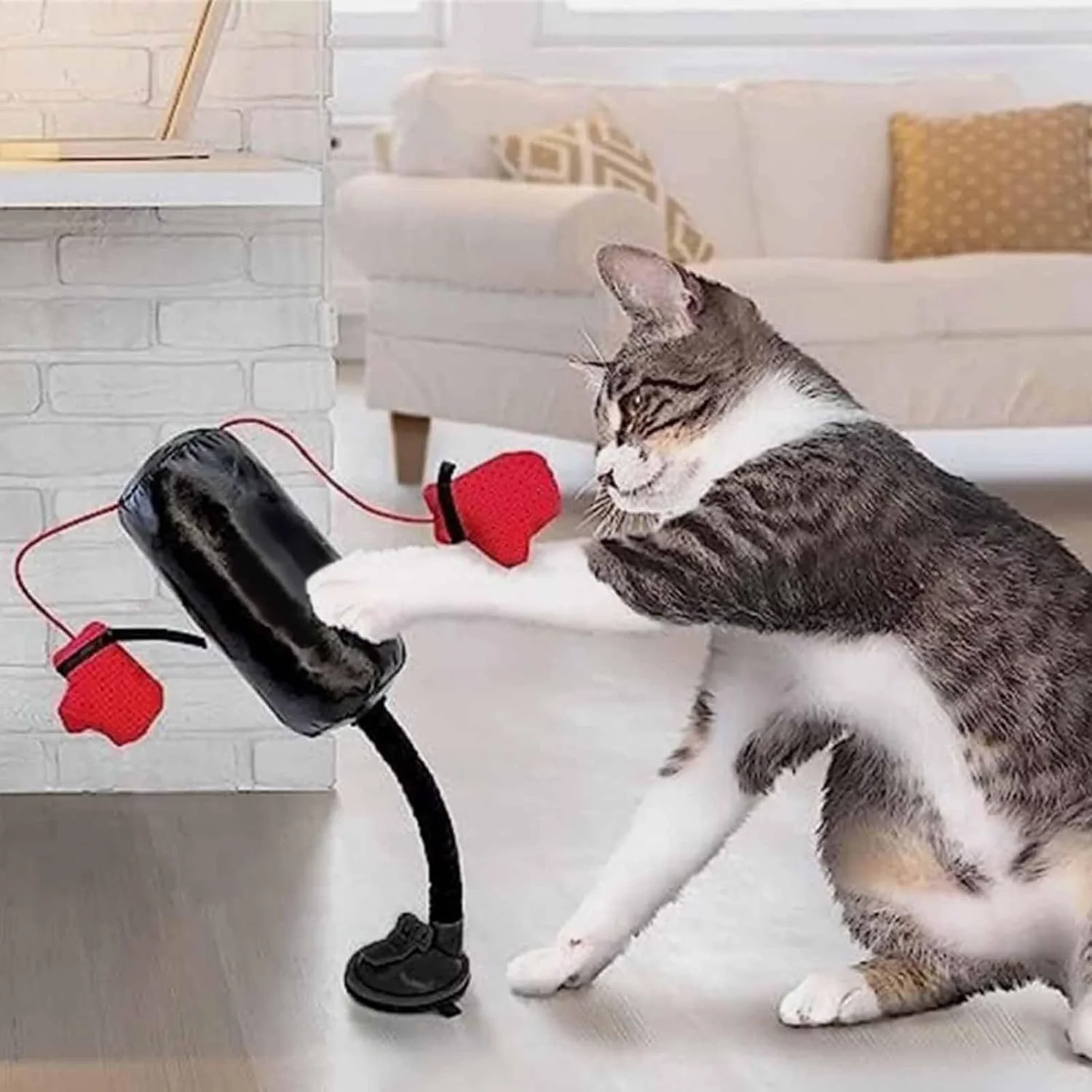 🥊Cat Boxing Toy😻 - Image 3