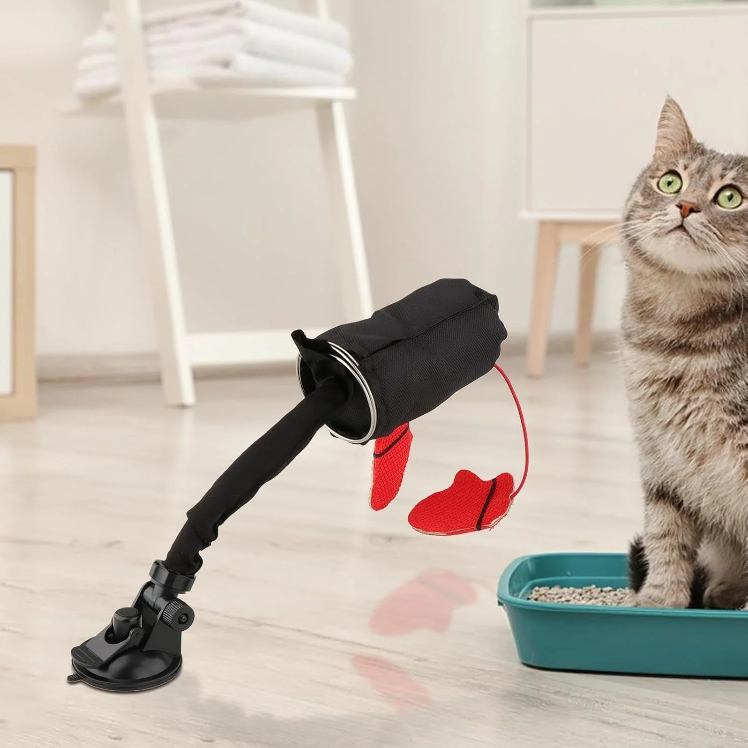 🥊Cat Boxing Toy😻 - Image 4