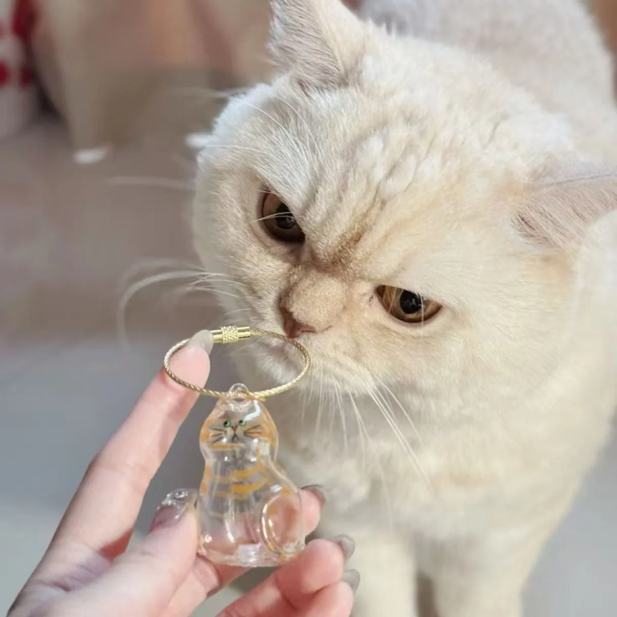 Cat and Dog Hair Keepsake Capsule Pendant Keychain - Image 7
