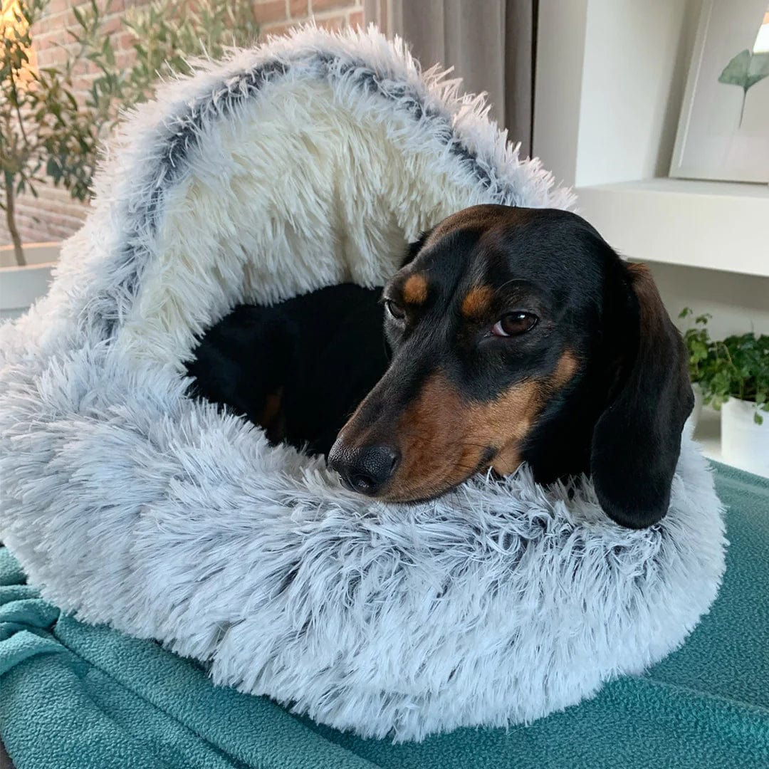 Cozy Circle Pet Bed — Sleep, Snuggle, Repeat - Image 2