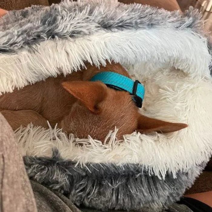 Cozy Circle Pet Bed — Sleep, Snuggle, Repeat - Image 3