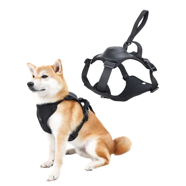Dog Harness and Retractable Leash Set All-in-One - Image 13