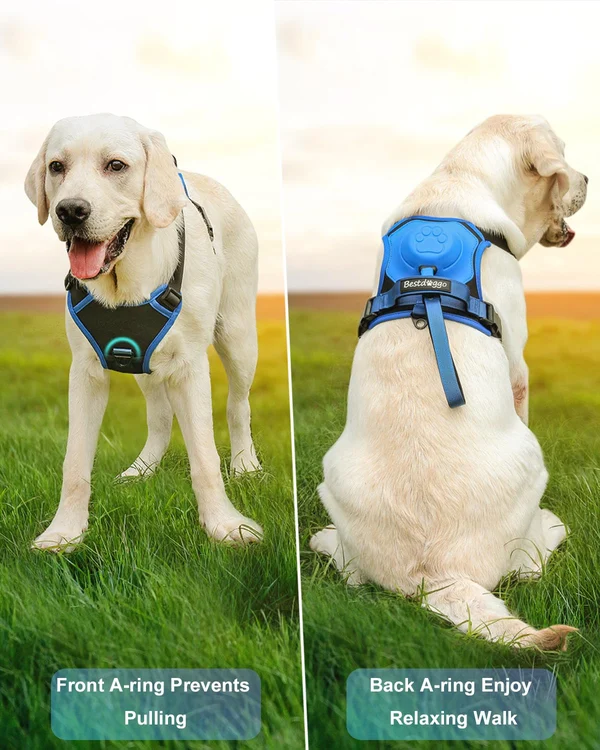 Dog Harness and Retractable Leash Set All-in-One - Image 5