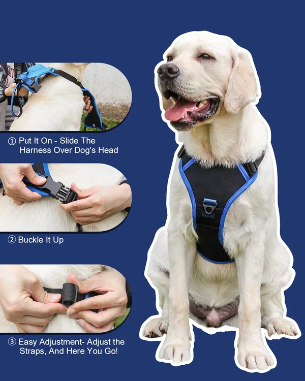 Dog Harness and Retractable Leash Set All-in-One - Image 8
