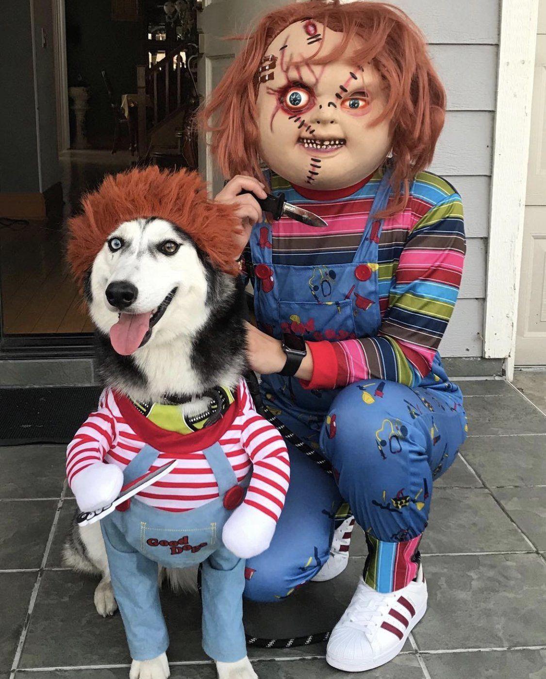 Funny Dog Costume - Image 3