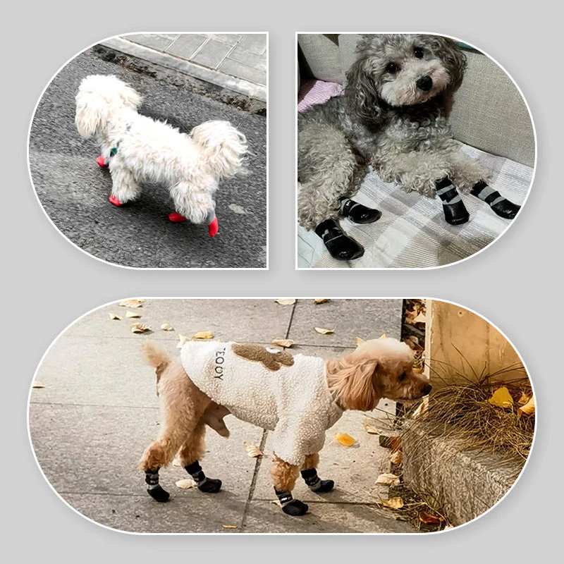 PawShield™ Anti-Slip Paw Shoes - Image 2