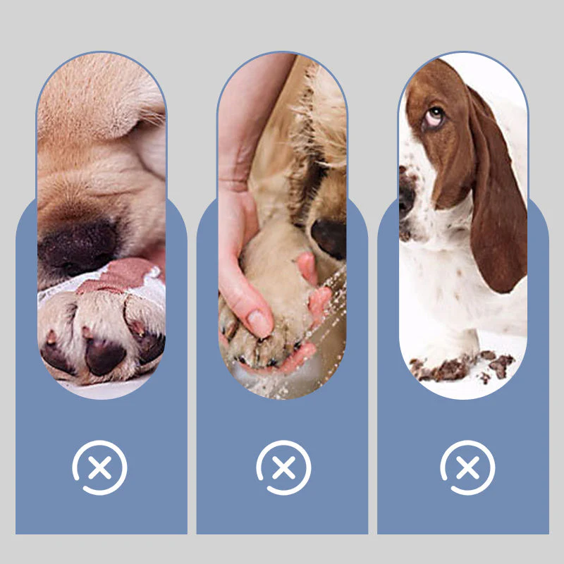 PawShield™ Anti-Slip Paw Shoes - Image 3