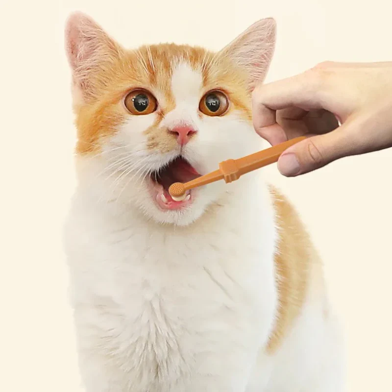 Pet Toothbrush - Image 8