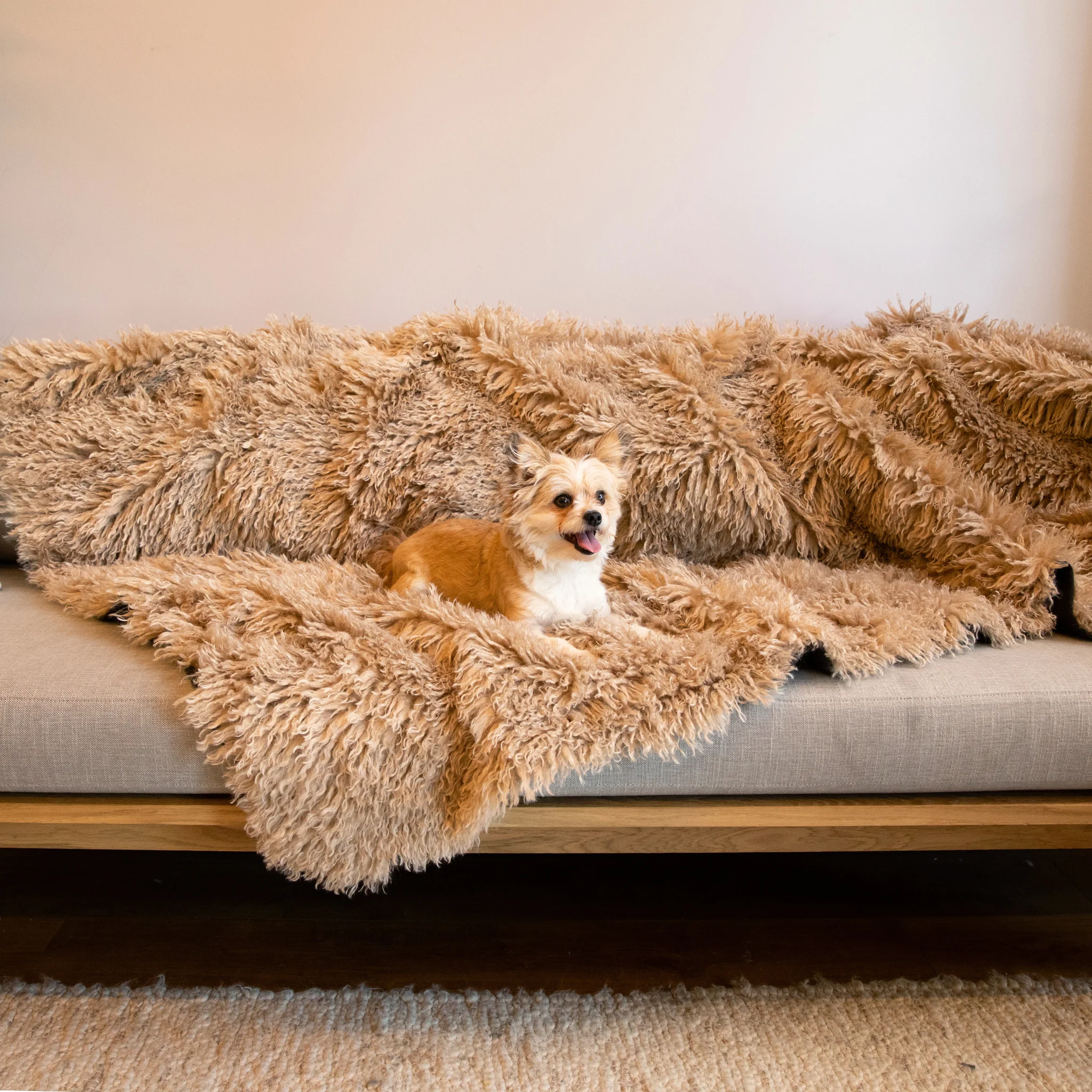 Aprolo™ Luxury Waterproof Pet Blanket & Bed Runner