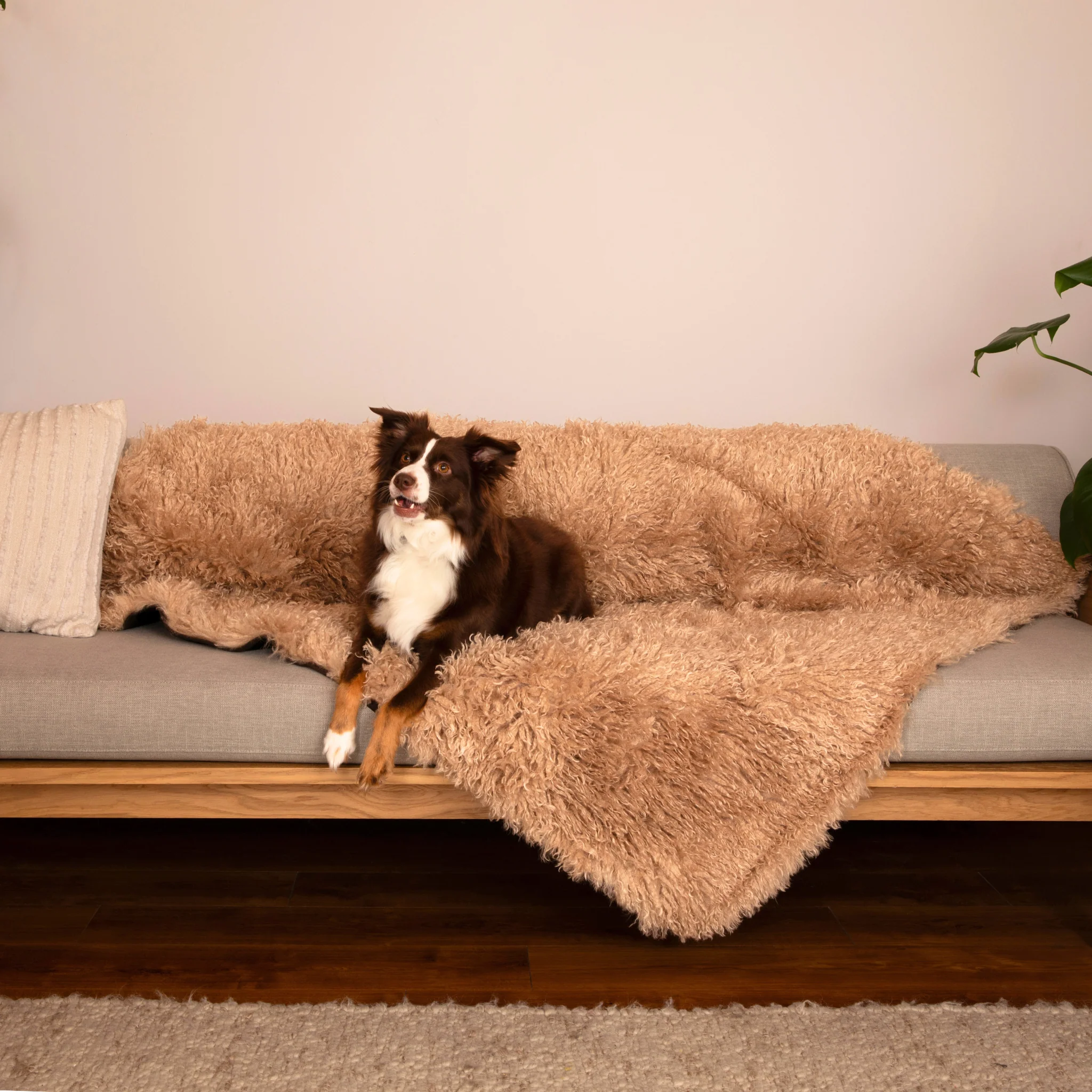 Aprolo™ Luxury Waterproof Pet Blanket & Bed Runner - Image 12