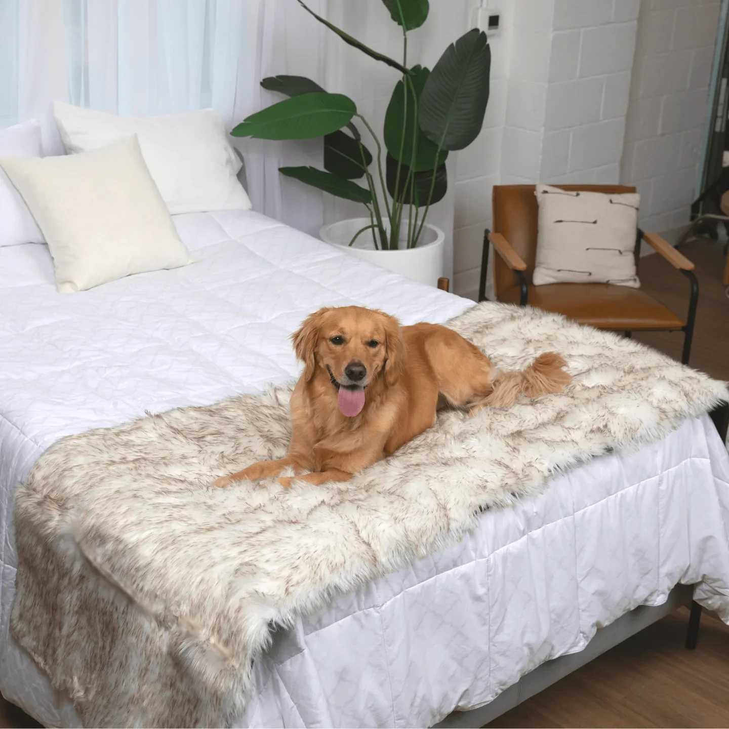 Aprolo™ Luxury Waterproof Pet Blanket & Bed Runner - Image 15