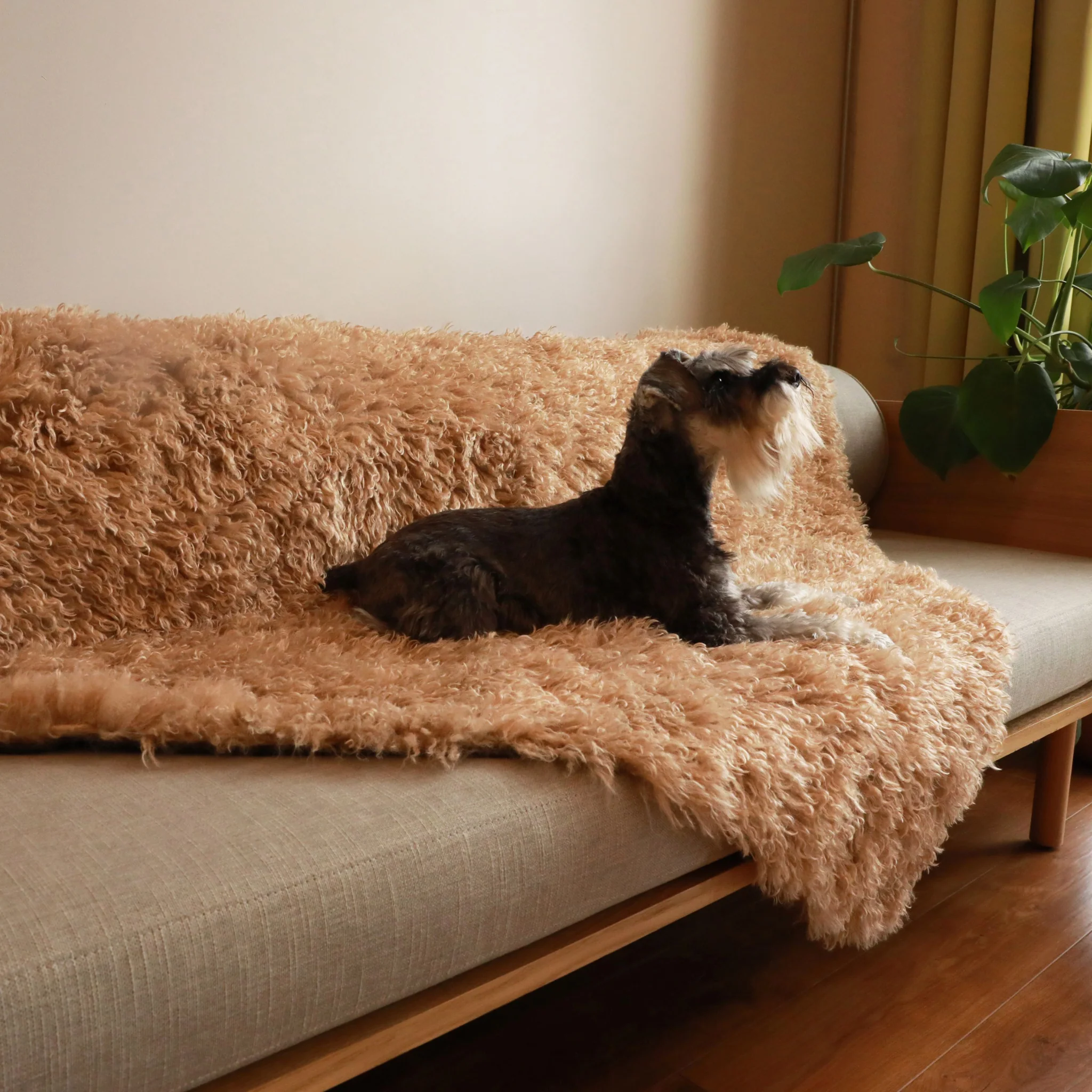 Aprolo™ Luxury Waterproof Pet Blanket & Bed Runner - Image 4