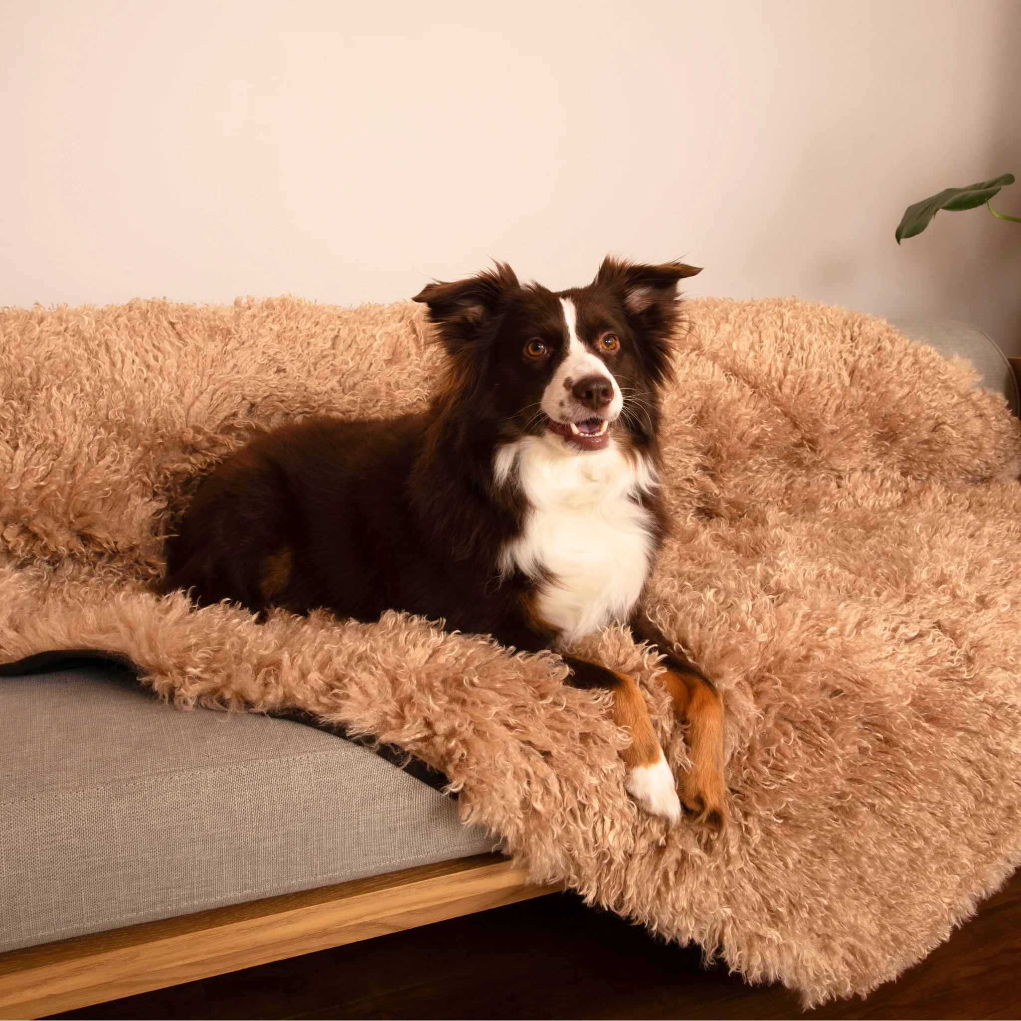 Aprolo™ Luxury Waterproof Pet Blanket & Bed Runner - Image 5