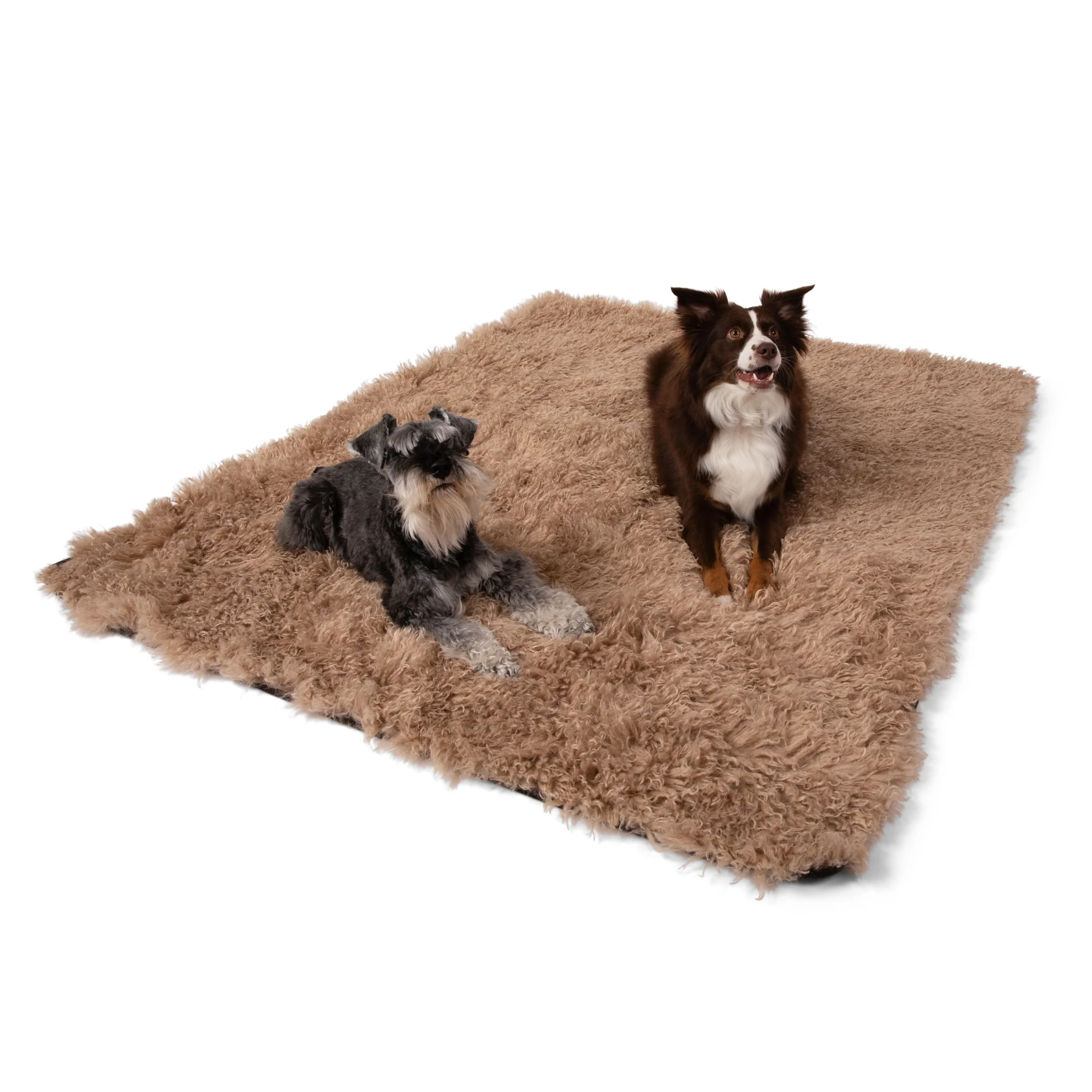 Aprolo™ Luxury Waterproof Pet Blanket & Bed Runner - Image 6