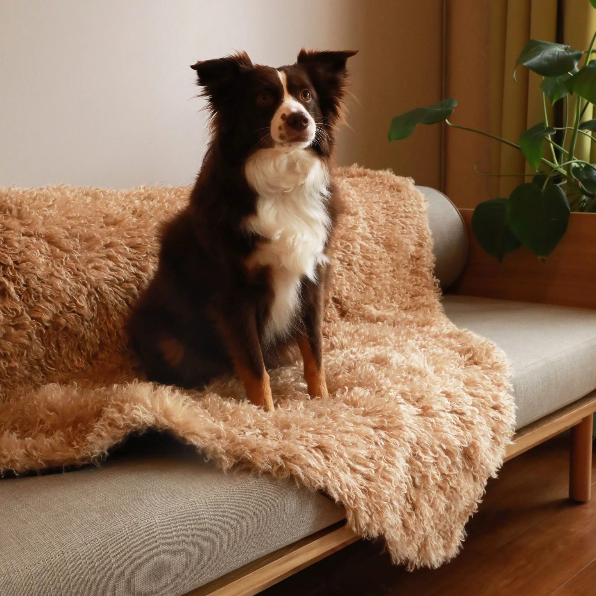 Aprolo™ Luxury Waterproof Pet Blanket & Bed Runner - Image 8