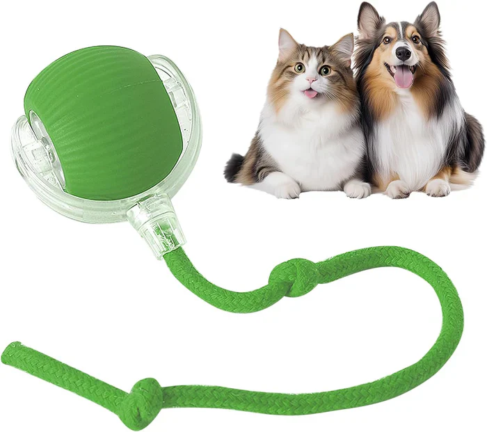 Rollraptor Interactive Pet Toy Ball - Image 9