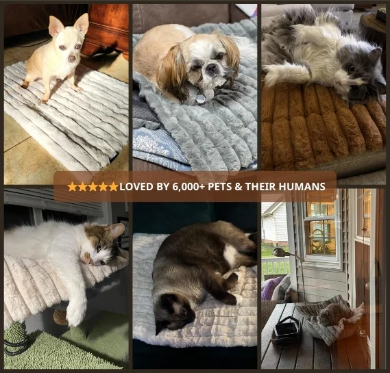 Self-Warming Pet Mat - Image 11
