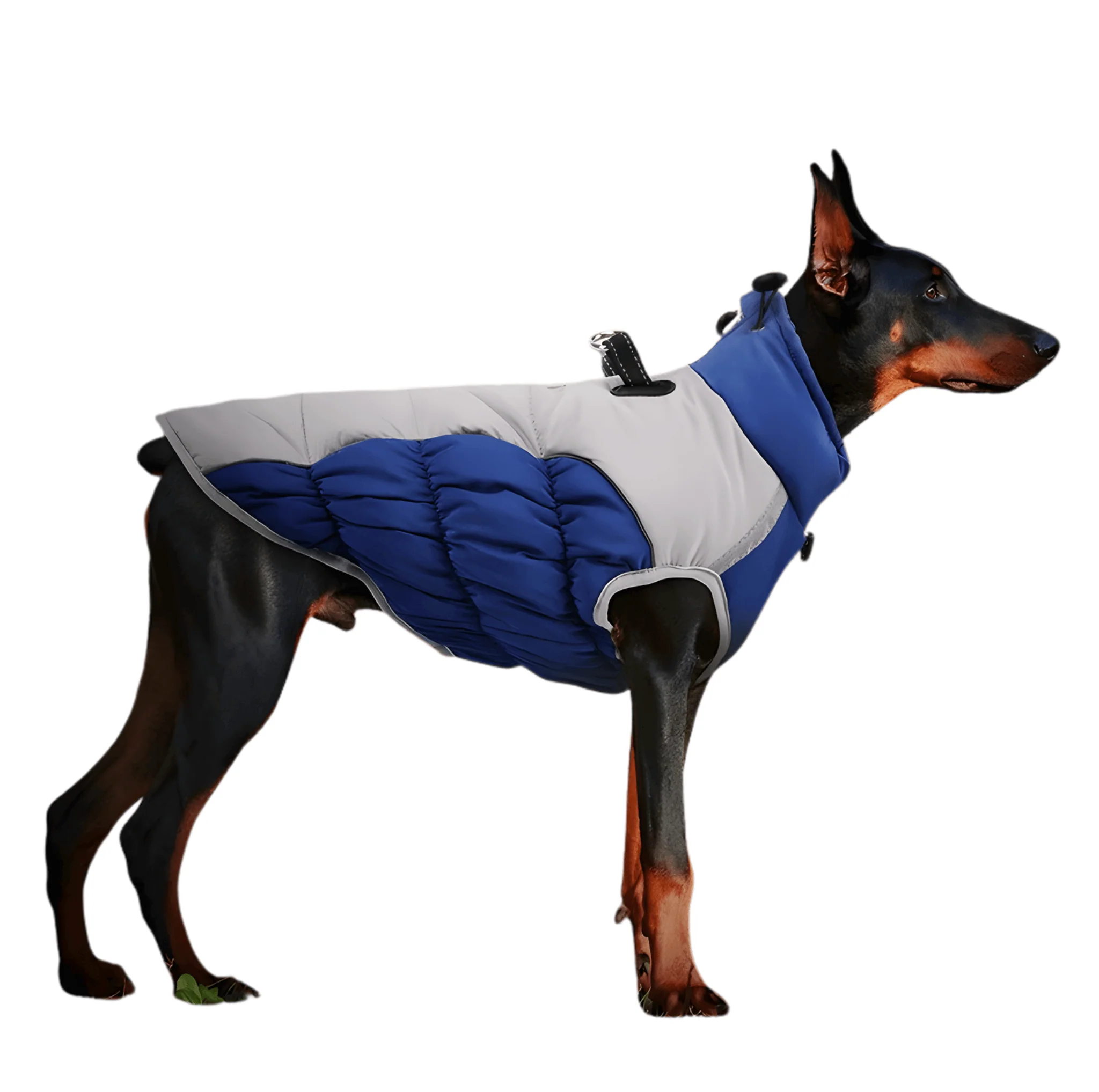 Winter Dog Coat – Insulated w/ Built-In Harness - Image 3